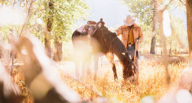 istock Man pets horse as it rests and eats in field 504266215