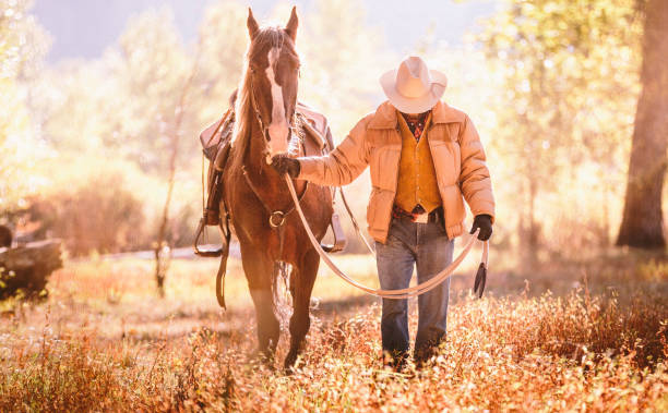 kowboj spaceruje z głową w dół w polu złotego konia prowadzącego - horseback riding cowboy riding recreational pursuit zdjęcia i obrazy z banku zdjęć