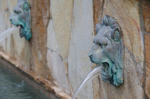 A antique bronze lion head fountain lets water flow from its mouth into a pool.