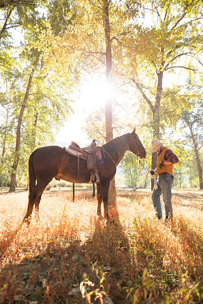 istock Man stands near tree resting with horse after riding 504267343