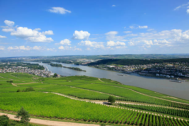 istock Vineyards on the Rhine River Valley 504267763
