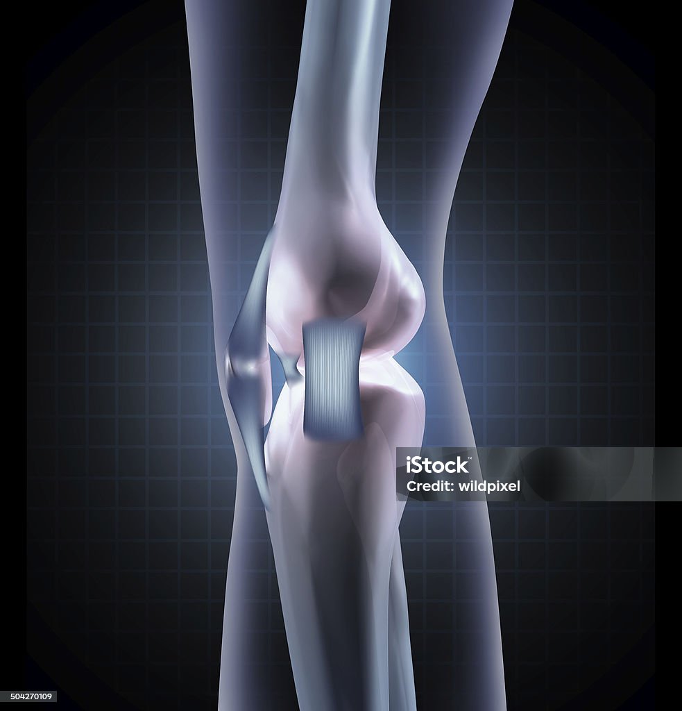 Anatomia do joelho - Royalty-free Cirurgião ortopédico Foto de stock