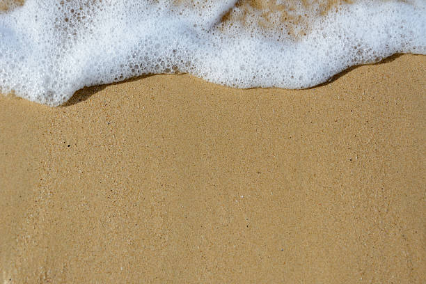 istock Wave of the sea on the sand beach 504270710