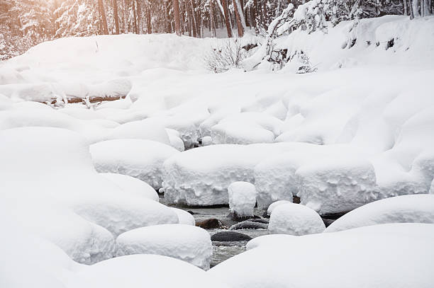 schneefall auf den fluss in winter forest - winter stream river snowing stock-fotos und bilder