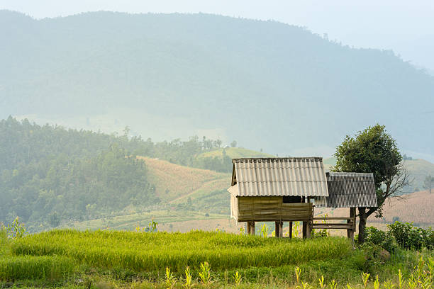 istock small hut at Bongpieng Village 504274076