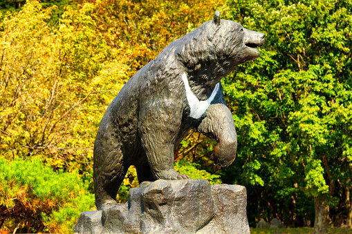 Seoul, Korea - October 10, 2015 : Seoraksan National park, statue bear a sign at the entrance, holiday people Korean popular walking for health. place of natural beauty and always travel as a family.