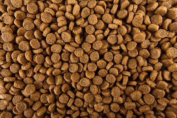 istock Dried dog food 504274982