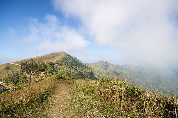 istock Doi Pha Tang, Chiang Rai Thailand 504275974