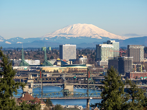 A view looking down to the Willamette River with trees, bridges, Convention Center, Skyscrapers and Mt St Helens (Washington State) in the background. This is  downtown Portland, Oregon area.