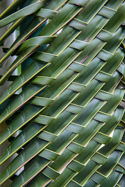 istock Pattern weave of coconut leaves 504279360