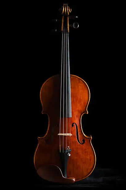 Photo of Hand Made Violin Front View