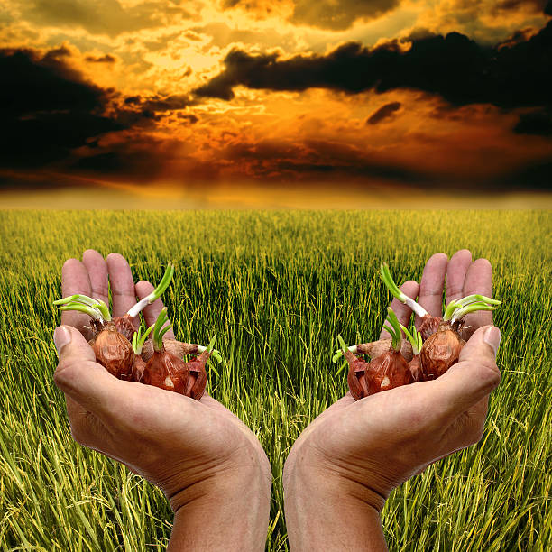 Cultivation concept