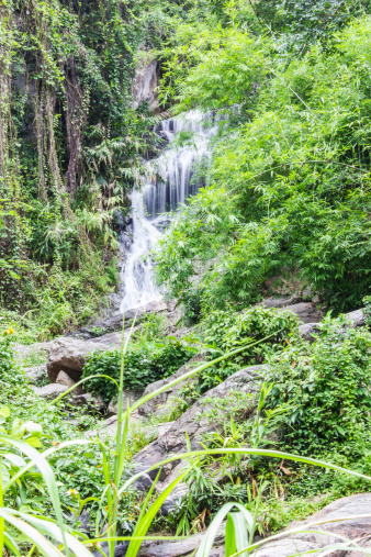 Huay Kaew waterfall in Chiangmai, Thailand