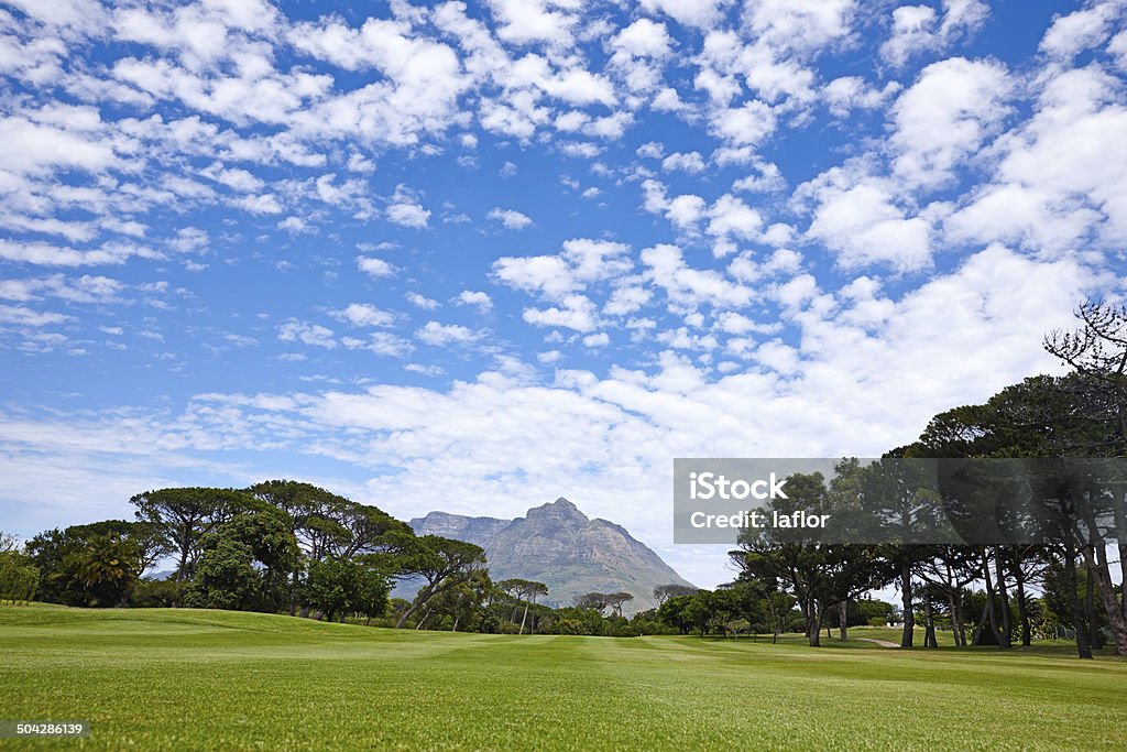 All dies und Sie können golf spielen zu - Lizenzfrei Baum Stock-Foto