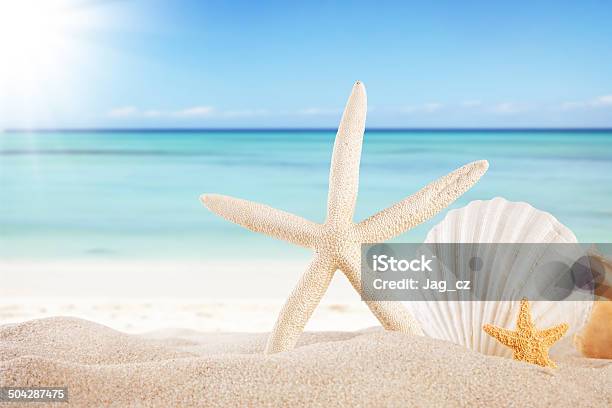 Summer Beach Background Stock Photo - Download Image Now - Backgrounds, Beach, Coastline