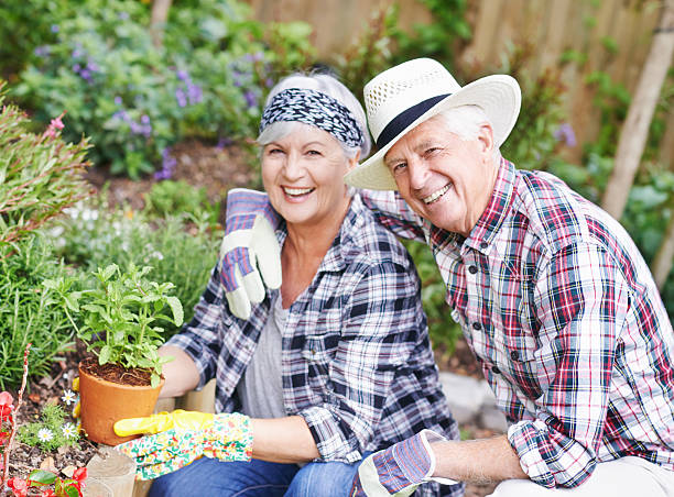 comparten la pasión de jardinería - planting clothing gray hair human age fotografías e imágenes de stock