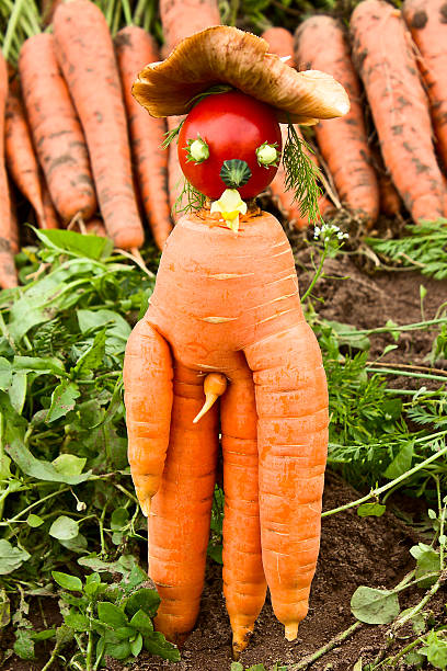 istock Unusual crop of carrots 504293335