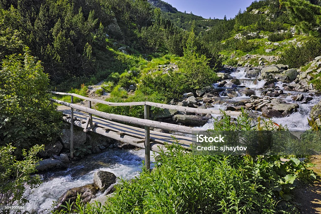 木製の橋の近くの川 Vihren ハット、Pirin 山 - バケーションのロイヤリティフリーストックフォト
