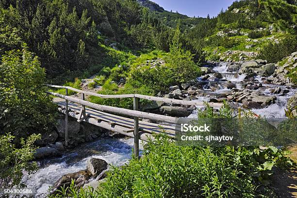 木製の橋の近くの川 Vihren ハットpirin 山 - バケーションのストックフォトや画像を多数ご用意 - バケーション, バンスコ, ピリン山脈