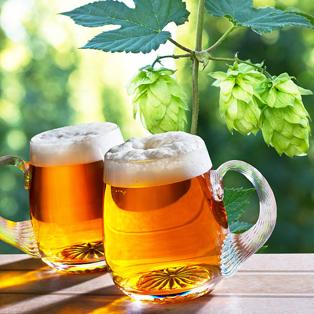 istock glasses of beer with  hops 504302886
