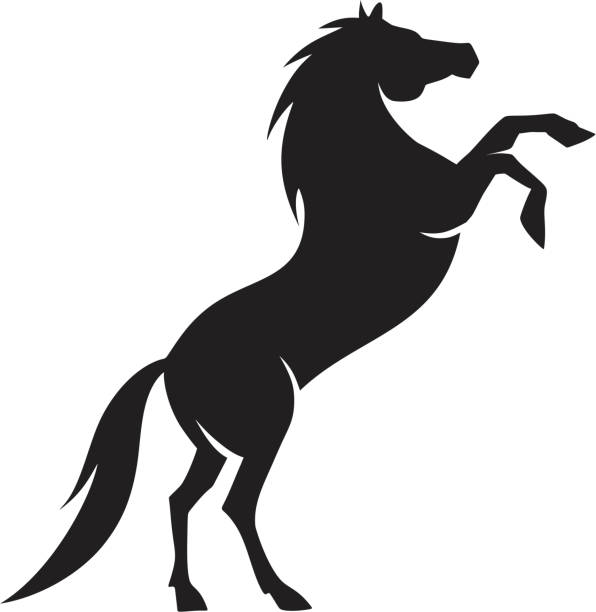 arabian horse silhouette - genç kısrak stock illustrations