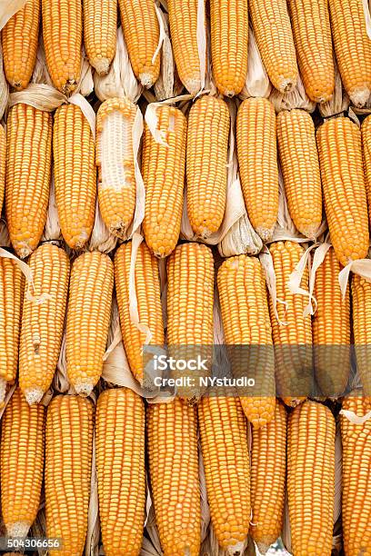 One Corn Stack Stack Of Dried Corn For Background Stock Photo - Download Image Now ...