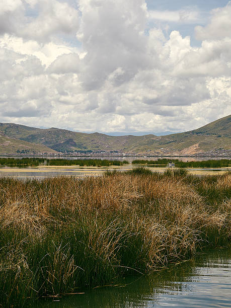 istock Lake Titicaca near Puno in Peru 504311898