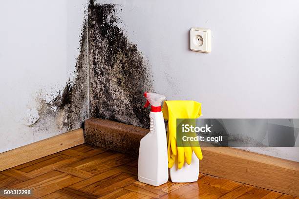 Black Mold In The Corner Of Room Wall Stock Photo - Download Image Now - Fungal Mold, Removing, Mildew