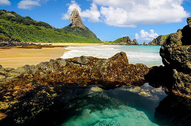 istock Fernando de Noronha - Brazil 504312515