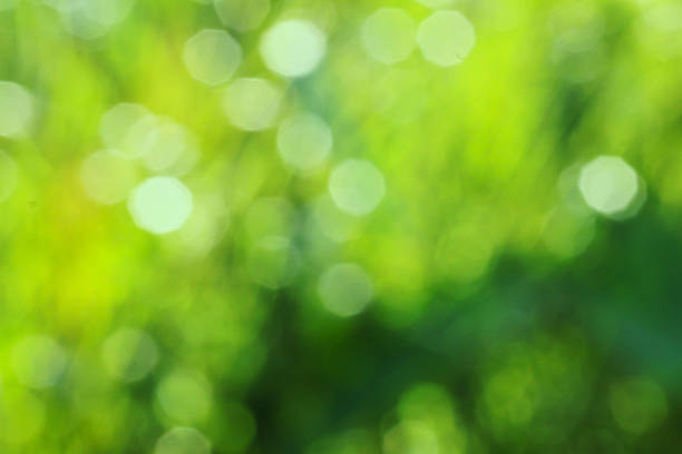 istock Abstract background green bokeh pentagon daylight 504312666