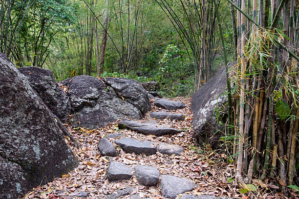 Path As A Roda 30+ Pathroad Stock Photos, Pictures & Royalty-Free Images - iStock