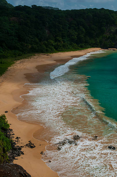 istock Fernando de Noronha - Brazil 504314523
