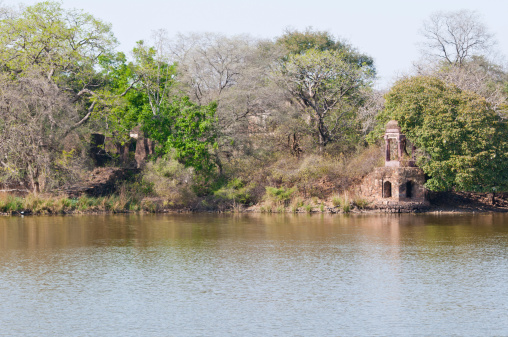 ancient temple on a lake in india - national park ranthambore in rajasthan