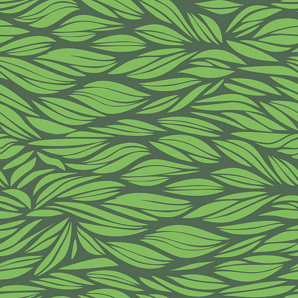 illustrations, cliparts, dessins animés et icônes de abstrait fond vert - abstract leaf curve posing