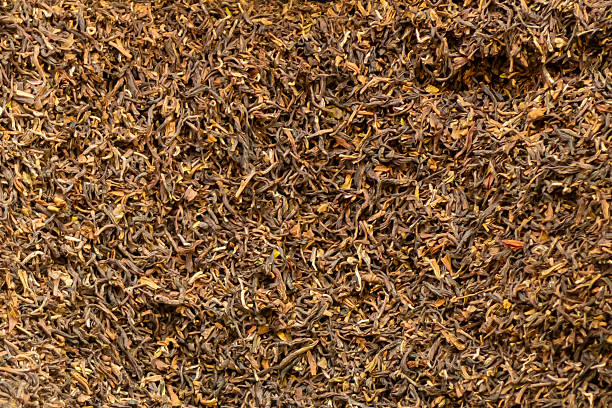istock Leaves of Japanese tea 504315826