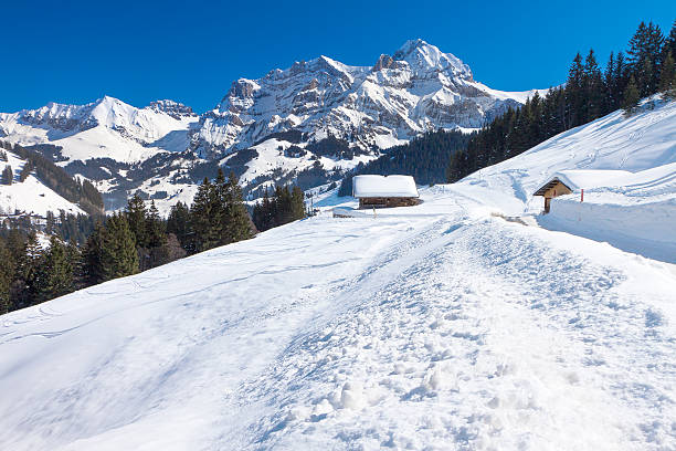 splendida vista di inverno alpi svizzere, berner oberland, adelboden - bernese oberland foto e immagini stock