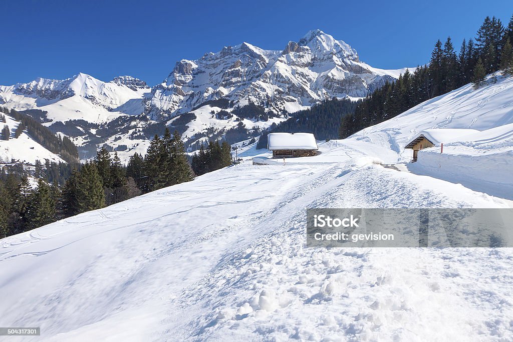 Beautiful view to winter Swiss Alps, Berner Oberland, Adelboden Adelboden Stock Photo