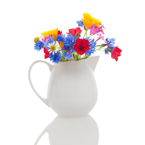 istock Wildflowers in jug 504318087