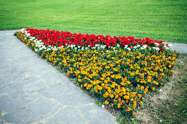 A landscaped flower bed that goes around a path