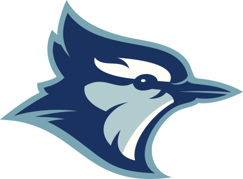 This blue jay head is perfect for your sports team mascot and logo. Customize with your own colors and text.
