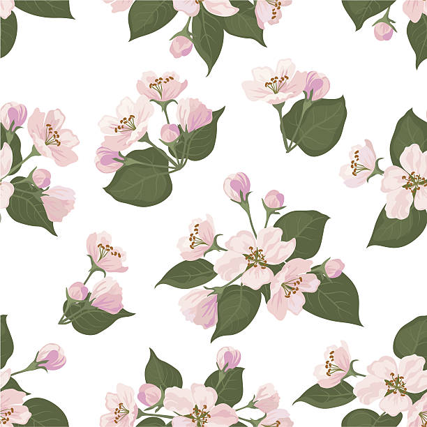 nahtlose florales muster mit blumen apple tree - blossom florescence flower wallpaper pattern stock-grafiken, -clipart, -cartoons und -symbole