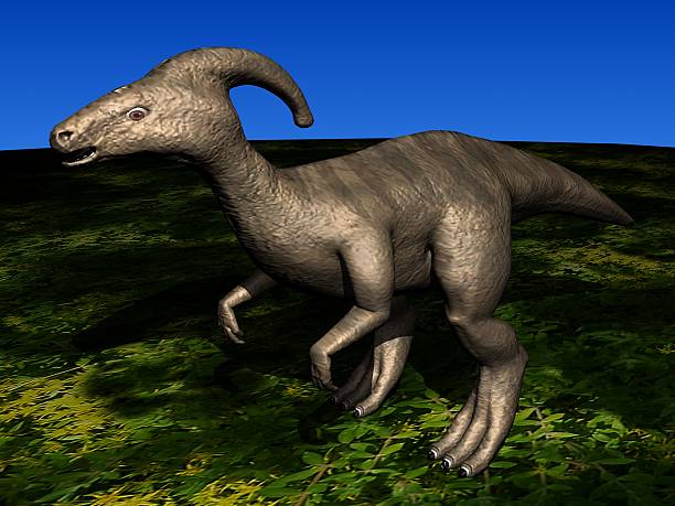 Parasauses 30+ Parasaur Stock Photos, Pictures & Royalty-Free Images - iStock