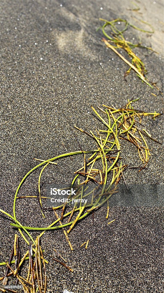 Arena negra Flotsam - Foto de stock de Abstracto libre de derechos