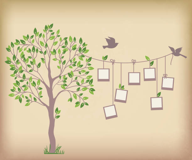 Family Tree Background Illustrations, Royalty-Free Vector Graphics & Clip  Art - iStock