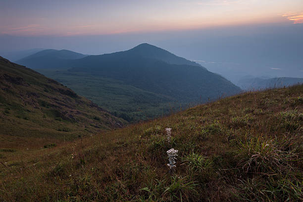 istock beautiful sunset on the mountain 504334592