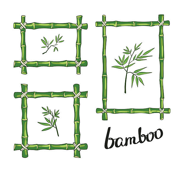 illustrations, cliparts, dessins animés et icônes de monture vert bambou. illustration vectorielle. - stick wood sign twig