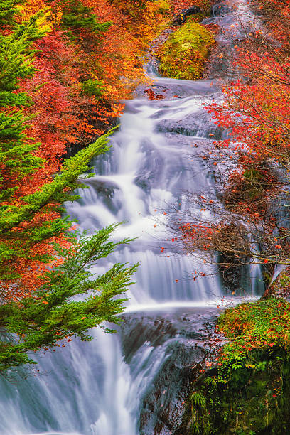 istock Close up of Waterfall in Nikko in Autumn 504337733