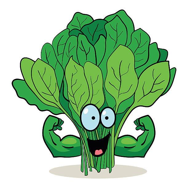 Cartoon Spinach vector art illustration