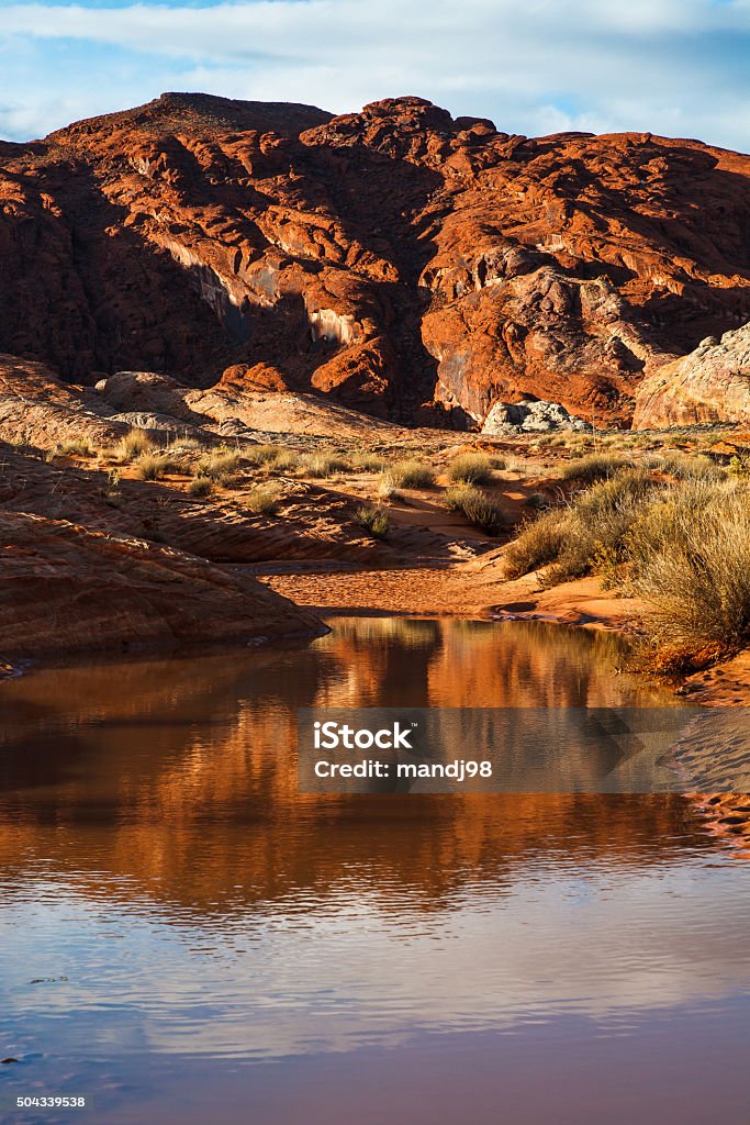 Mojave Desert Water in Valley Of Fire Mojave Desert Water in Valley Of Fire Nevada Accidents and Disasters Stock Photo