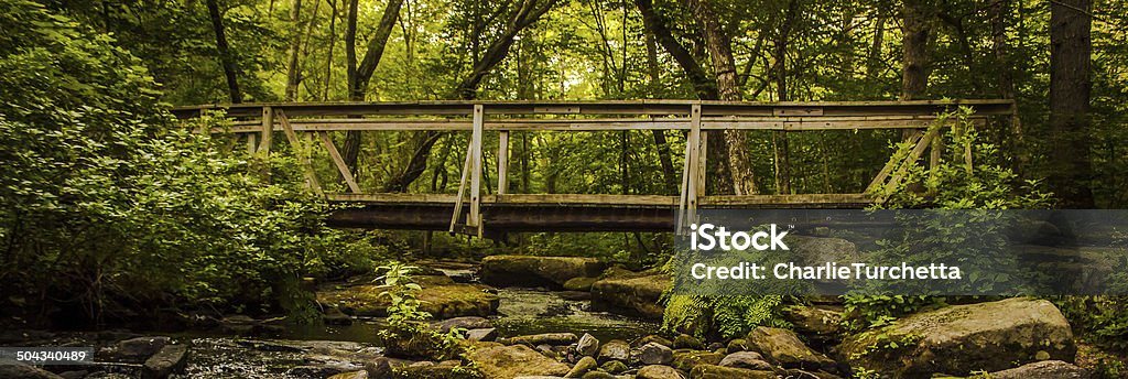 Puente de bosque - Foto de stock de Abandonado libre de derechos